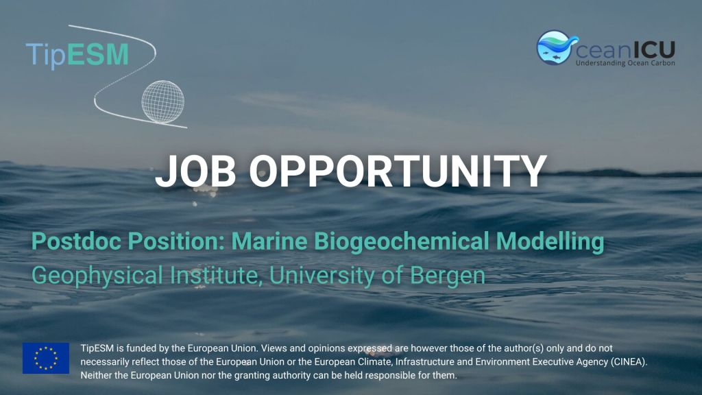 University of Bern is looking for a Postdoc in marine biogeochemical&nbsp;modelling