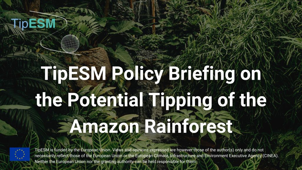 TipESM policy briefing: The potential tipping of the Amazon&nbsp;rainforest